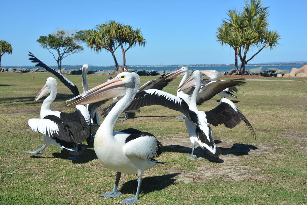 Beachhouse Bed & Breakfast Redcliffe